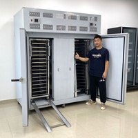 Congélateur à choc super rapide à deux portes, monotempérature, à refroidissement par air, pour la congélation rapide des glaces, des bâtonnets glacés, des fruits de mer et des repas