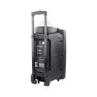 Kamu kalıp iki yönlü 100W 12V 4.5ah kaliteli 15 inç arabası hoparlör ile parti ışığı