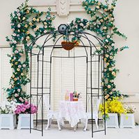 Arche de jardin en métal pour fleurs, support de toile de fond extérieur, clôture, treillis de jardin DIY