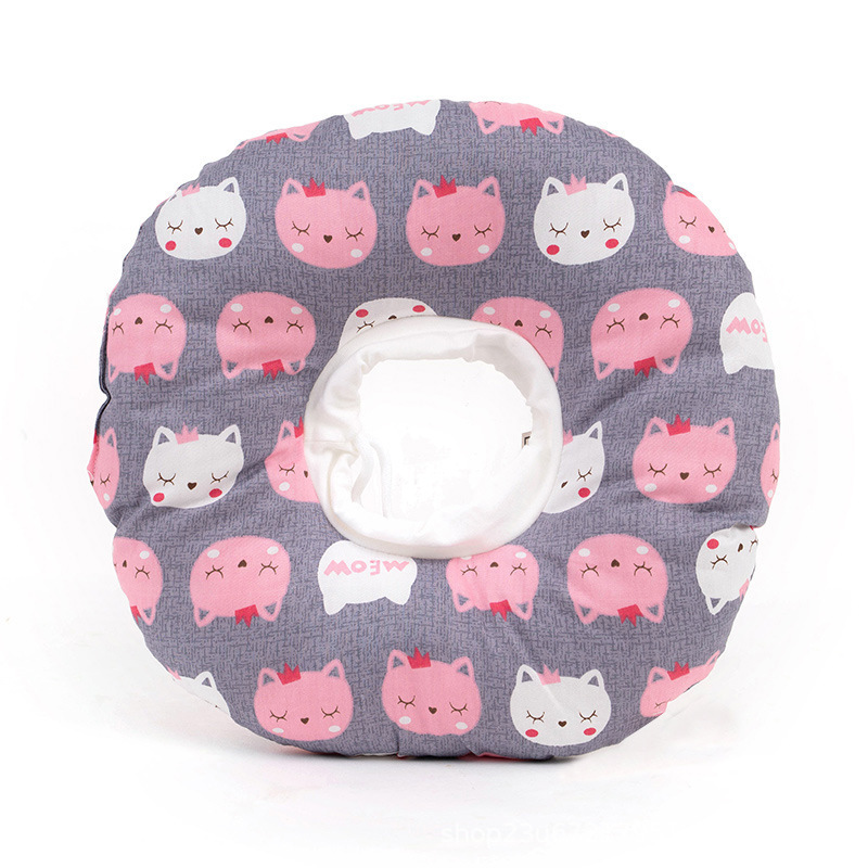 Chaton violet foncé