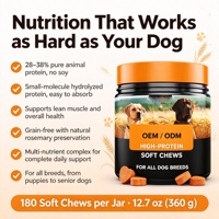 OEM ODM Compléments multivitaminés à mâcher pour chiens de toutes races, soutien immunitaire, cutané et pelliculaire, marque privée