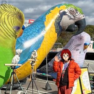 Mascota inflable personalizada de perico, modelo de pájaro inflable de tela Oxford para publicidad, figura inflable de loro para eventos - Product Image 4