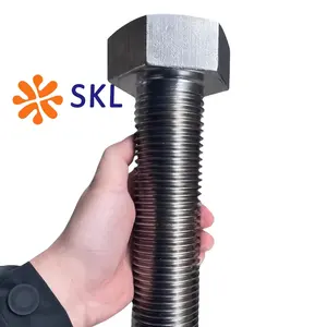 Customized All Kinds Of Steel Bolt And Nut Top Quality Hexagonal Nut Stainless Steel SS304 SS316 SS316L Plain Hex Welding Nuts