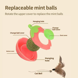Мультяшный стиль, Пластиковые Мячи Для кошачьей мячи, жевательные игрушки для домашних животных, самодельные вращающиеся секс-игрушки для кошек - Product Image 4