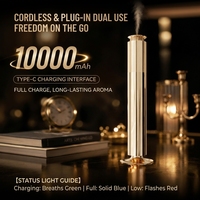 Diffuseur d'huiles essentielles sans eau 100 ml rechargeable avec contrôle intelligent par application pour hôtels et maisons, diffuseur d'aromathérapie et porte-encens en gros