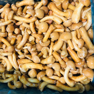 Hoang Dã Trồng Nấm hữu cơ khỏe mạnh tự nhiên dinh dưỡng tươi toàn bộ đông lạnh nấm iqf đông lạnh <span class=keywords><strong>nameko</strong></span> - Product Image 4