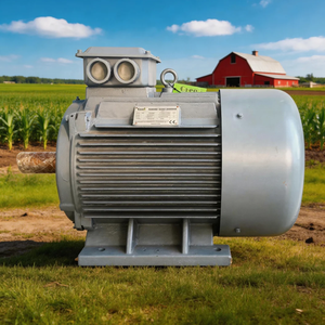 Generador de Imán de Alto Factor de Potencia para Microturbina, Ahorro de Energía y Eficiencia - Product Image 4