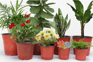 Pot de culture de <span class=keywords><strong>plantes</strong></span> en plastique, Pot de jardin domestique de pièces, bon marché, pour pépinière, semis de fleurs - Product Image 4