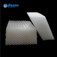 Bestn BS-LS PP/PVC Plaque lamellaire inclinée alvéolée 1x1m, clarificateur, filtre à lamelles moulé par injection, média filtrant pour la filtration de l'eau