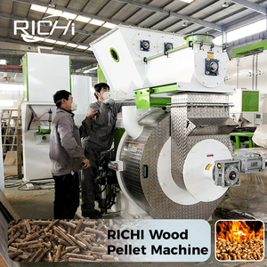 Machine à granulés de bois automatique RICHI - Usine chinoise d'extrusion de granulés de bois personnalisée et gratuite - Product Image 1