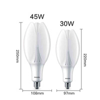 Lampu Taman LED PHILIPSHIL 220V 30W 45W E27 untuk Taman Jalan, Pengganti Lampu HPL/HQL 125W, TForce Core LED HPL 27-30W E27 830 CN