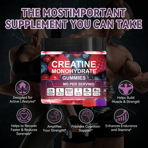 แคร์ทีน โมโนไฮเดรต กัมมี่ ไร้น้ำตาล 8000 มก. ผลิตโดย ACORN OEM สำหรับขายส่ง รับผลิตแบรนด์ส่วนตัว (Private Label) อาหารเสริมกัมมี่แคร์ทีน - Product Image 3