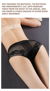 Braguitas de Cintura Media <span class=keywords><strong>para</strong></span> Chicas Curvilíneas, Talla Grande, Lencería Ligera de Lujo, Encaje Sexy, Malla Transparente, 100.00 kg - Product Image 2