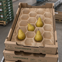 Papieren lade met zeer duurzame kraftpapierstructuur voor commerciële boomgaardoogst en bescherming bij het verzenden van vers fruit
