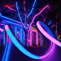 Bande LED néon flexible T25 demi-circulaire à émission de lumière à 180 degrés, en silicone alimentaire, modulable, uniforme, sans points lumineux, 24V RGB IP65