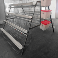 Cage à poules pondeuses de type A, nouvelle conception, capacité 96/160 oiseaux, en acier galvanisé, système de nettoyage automatique