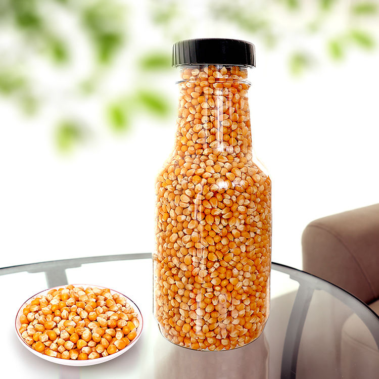 milho-de-pipoca vidro-com-milho-de-pipoca