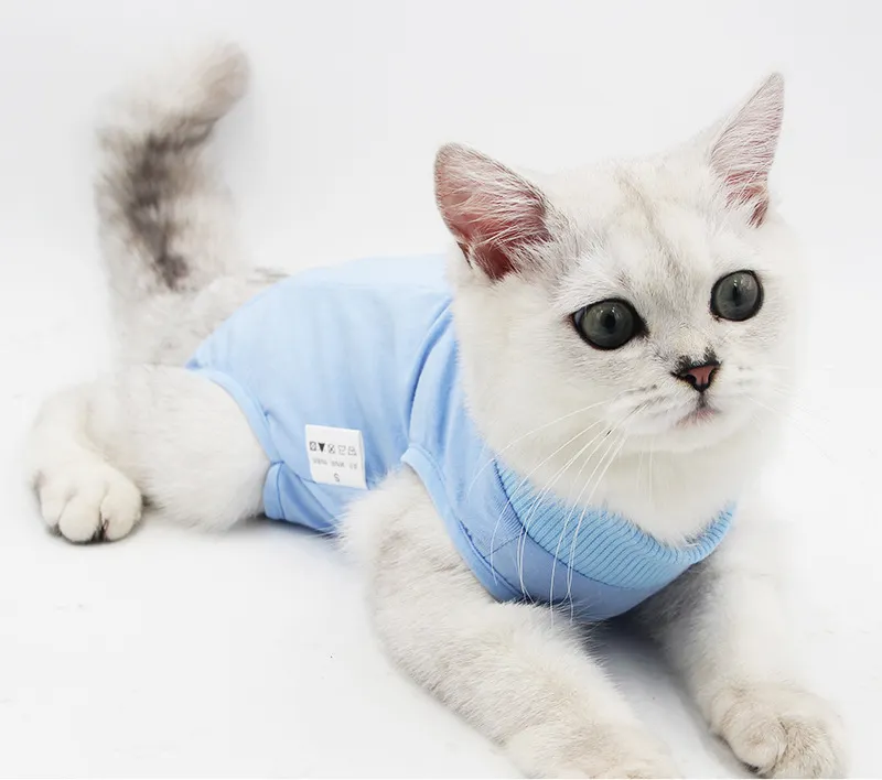 Pet Roupas Novo Gato spay Terno Neutro Terno Anti-lamber Terno para o Sexo Feminino Gato Cirurgia Respirável Desmame Terno Cat Esterilização Vestuário