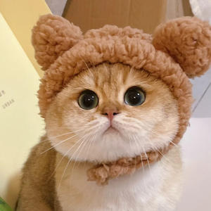 Funny Cat Hat Cute Pet Costume <strong>Wig</strong> Sunflower Dog Headgear Halloween Party Accessories Assorted Styles Funny Pet Accessories - Product Image 4