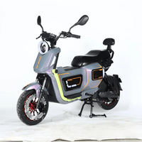 Moto électrique haute vitesse au lithium 1000W, design tendance, autonomie de 100 km, pour utilisation hors route