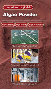 Хетчин лучшие антиоксиданты Премиум + 5% экстракт астаксантина масло 5% экстракт гематококка плувиалиса - Product Image 2