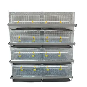Poultry Farm Baby Chick Brooder Cage/Day Old Chicken Cage/Battery Pullet Rearing Cage