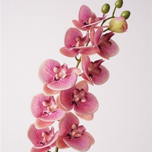 RK212 Orquídeas Artificiales al por Mayor, Phalaenopsis <span class=keywords><strong>Dendrobium</strong></span>, Orquídea Mariposa de Látex, 10 Cabezas, Flores de Orquídea Artificiales de Tacto Real - Product Image 2