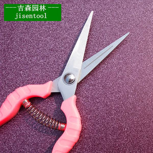 Sécateur de taille pour glycine de montagne de Taïwan 62, tête droite, en acier inoxydable, design papillon, pour la taille des vigne fruitières - Product Image 5