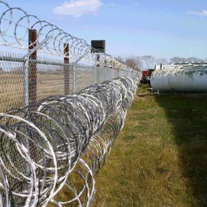 Fil de fer barbelé en acier argenté galvanisé à chaud recouvert de PVC, bobine de clôture concertina, protection anti-corrosion, treillis métallique à lames - Product Image 2