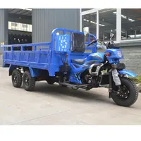 300CC Su Soğutma Özelleştirilmiş Çift Tekerlek/Beş Tekerlekli Motosiklet Çift Arka Aks Beş Tekerlekli Kargo Üç Tekerlekli Bisiklet