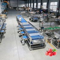 Hoge Efficiëntie 3-traps Fruit- en Groente Sorteermachine