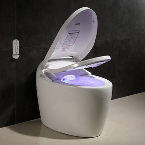 Bán Buôn Giá Rẻ 110V/220V S Trap/P Trap Nhật Bản Phòng Tắm Tự Động Tuôn Ra Thông Minh Electric Bidet Tự Động <span class=keywords><strong>Wc</strong></span> Thông Minh Nhà Vệ Sinh Bát - Product Image 3