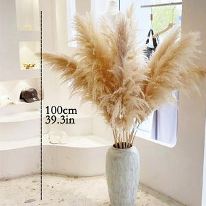 Hierba de <span class=keywords><strong>Pampas</strong></span> Seca, Pluma Grande Beige para Decoración Boho del Hogar, Arreglo Floral Seco Natural - Product Image 6