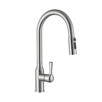Robinet de cuisine extractible SANIVITAL en acier inoxydable 304 brossé, mitigeur monocommande eau chaude et froide pour usage hôtelier