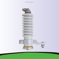Parafoudre en porcelaine 10kV Y10W-10 parafoudre en céramique 11kV