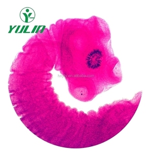 50 Tấm Trượt Chuẩn Bị Cho Kính Hiển Vi Sinh Trùng Y Tế Bộ Mẫu Vật Khác Nhau Tấm Trượt Dạy Học Giáo Dục Đại Học - Product Image 4