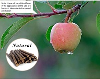 Bâton à mâcher pour lapin, jouet à mâcher pour lapin avec bâton de pomme 100% naturel, lapin, hamster, chinchilla, cochons d'Inde, gerbille, jouet à mâcher