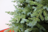 Arbre de Noël artificiel en PE et PVC de style européen très vendu, décoration de Noël super bien accueillie et réaliste