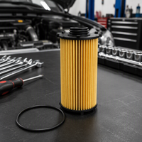 Filtre à huile moteur 9A210722500/E911HD455/HU7027Z pour PORSCHE, filtre à huile automobile