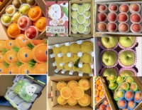 EPE schuimhoes net voor verpakkingen, beschermt fruit en groenten, fruitbeschermende gaasafdekking