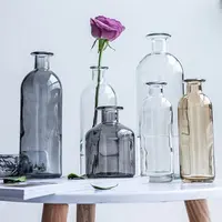 Nordic Tabletop Decoration, Clear Flower Bottle, Glass Vase