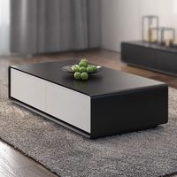 Table basse ultra-mince minimaliste moderne Nouveau style nordique de luxe léger haut de gamme pour grand petit appartement salon usage domestique