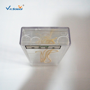 Préservation des spécimens d'Ascaris lumbricoides, aides pédagogiques en biologie et équipement expérimental pour les collèges et les lycées - Product Image 3
