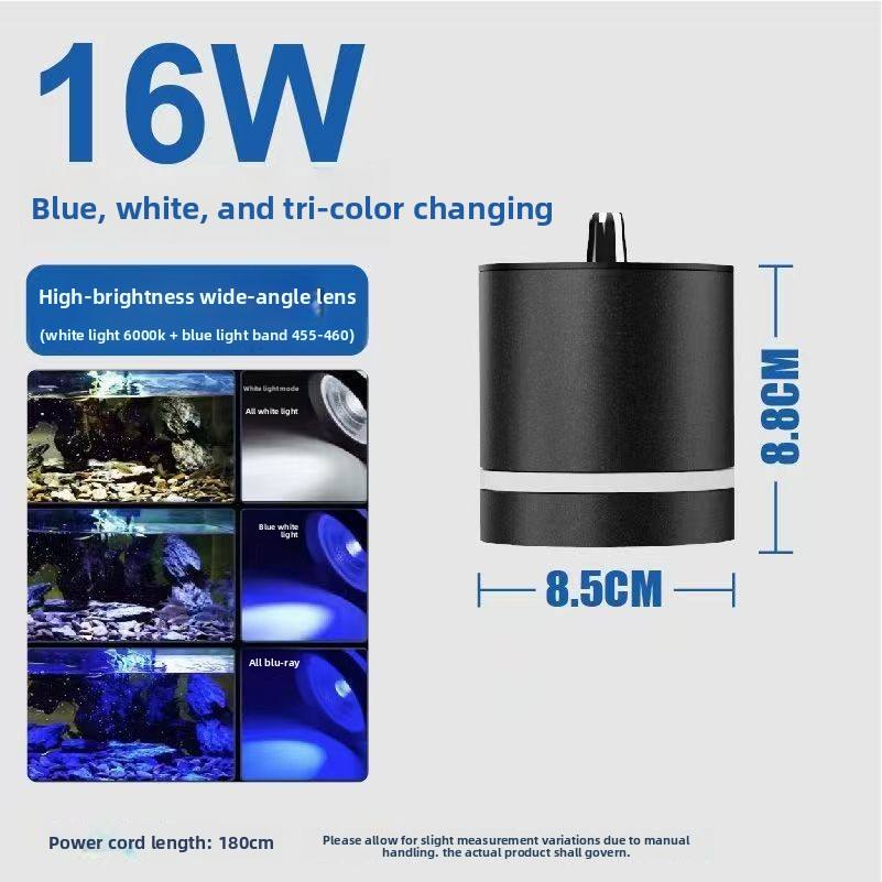 Ampoule# Blanc Bleu Tricolore à Intensité Variable