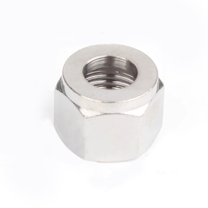 304 thép không gỉ Nut nối thép không gỉ kết nối phụ kiện nữ hình lục giác Nuts - Product Image 4