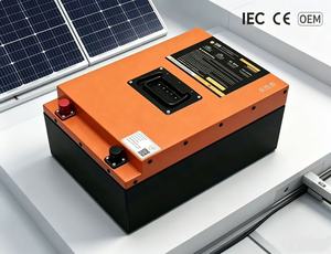 64V 50Ah E-Dreirad-Akkupack, Leichtgewichtiger Lithium-Akku für 3-Rad-Fahrzeuge, IEC-Zertifiziert, Direkt vom Hersteller - Product Image 1
