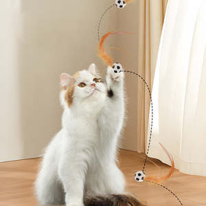 Juguete Interactivo Ecológico y Moderno para Gatos, Pelota Elástica con Plumas, Juguete Divertido para Estirar, Pelota Deportiva Elástica - Product Image 3