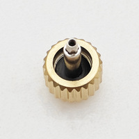 Kits de Corona para Reloj Automático de Cuarzo Hechos a Medida, Diseño Metálico Impermeable con Logotipo de Marca OEM ODM en Plata, Oro Rosa y AGCW08