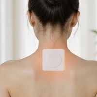 Patchs Chauffants Personnalisables à l'Armoise Sanfu, Certifiés CE, 30 Patchs par Boîte, Éliminent le Froid et l'Humidité, Soulagent les Articulations