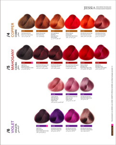 JIESSIA Série Violet Cuivré Mogno – Nuancier de Couleurs Capillaires Permanentes à Micro-Pigments Intenses – Nuancier de Couleurs Capillaires Réparatrices Kera - Product Image 1